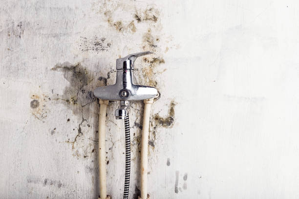 Best Mold Testing and Inspection Services in Seville, OH